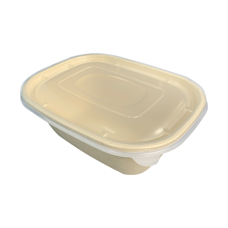 China Biodegradable Bagasse Oval Take Away Boxes For Food Supplier